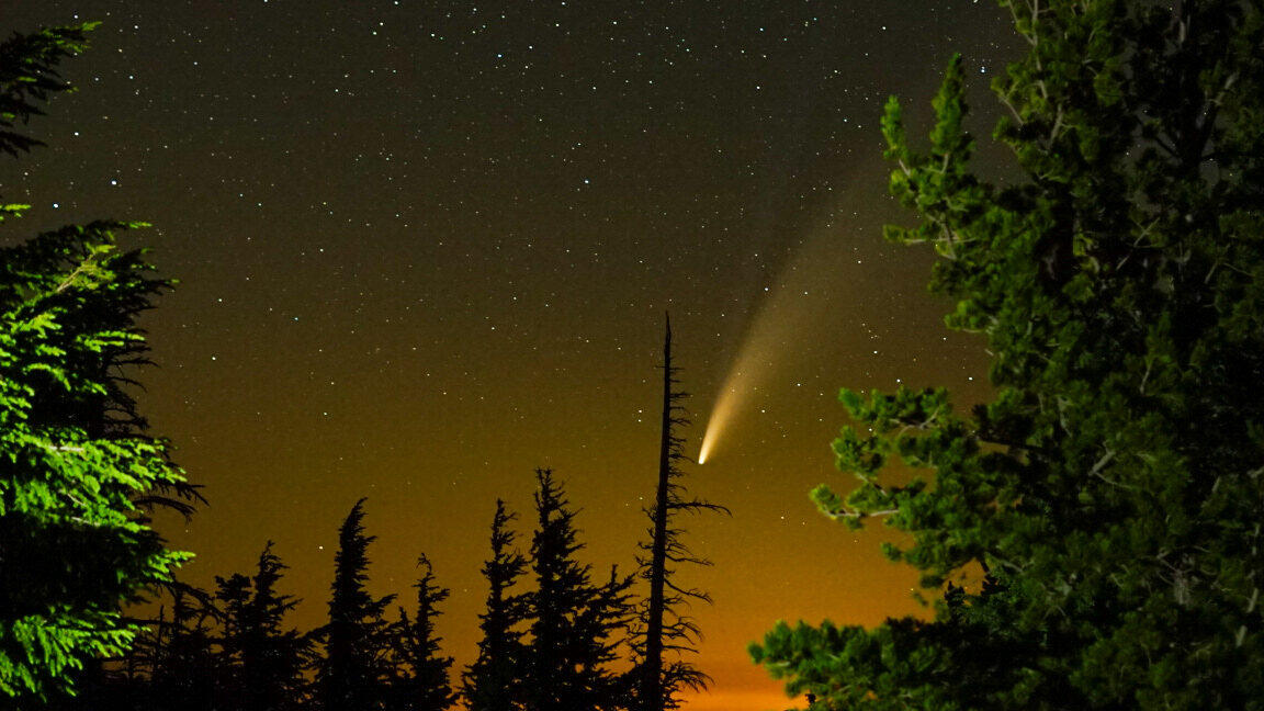 Comet above a pine treeline